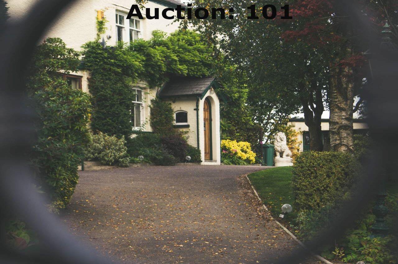 Auction: 101